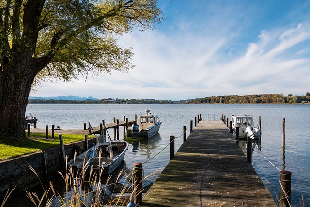 【体坛名场面】2022卡塔尔世界杯小组赛，乌拉圭对阵加纳的恩怨局！.