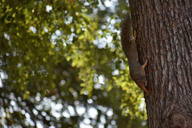 开云体育五大联赛18888元大放送
